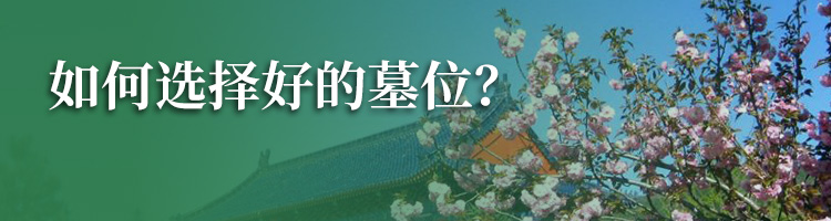 金山陵园